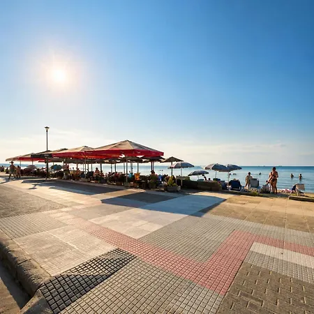 Odyssey Mare Steps From The Sea