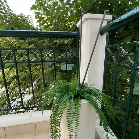 Odyssey Mare Steps From The Sea Apartament *